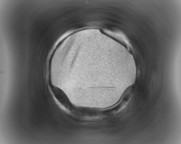 X0000083581143200703091653