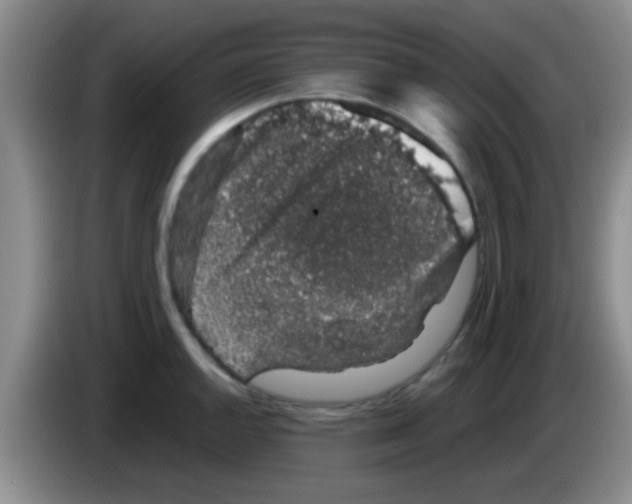 X0000083581144200703091653