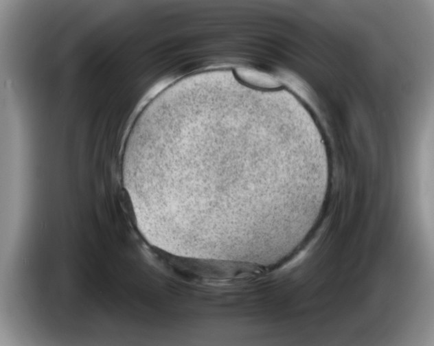 X0000083581145200703091653