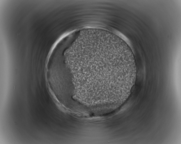 X0000083581146200703091653