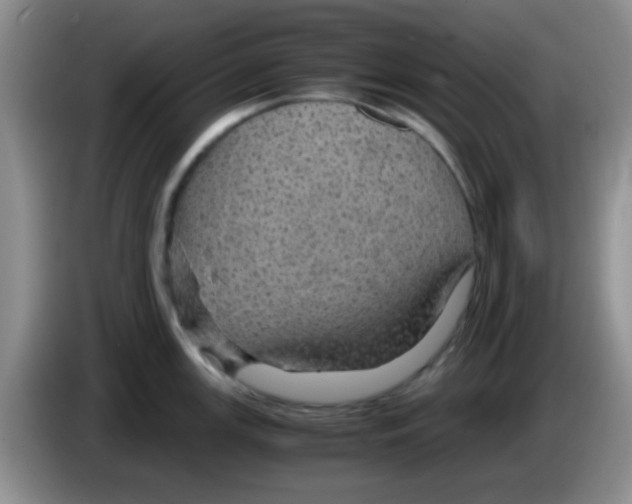 X0000083581147200703091653