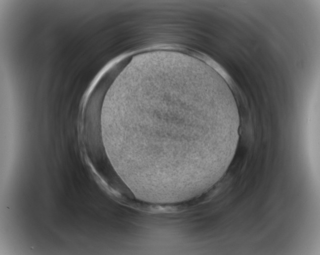 X0000083581148200703091653