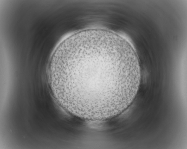 X0000083581150200703091653