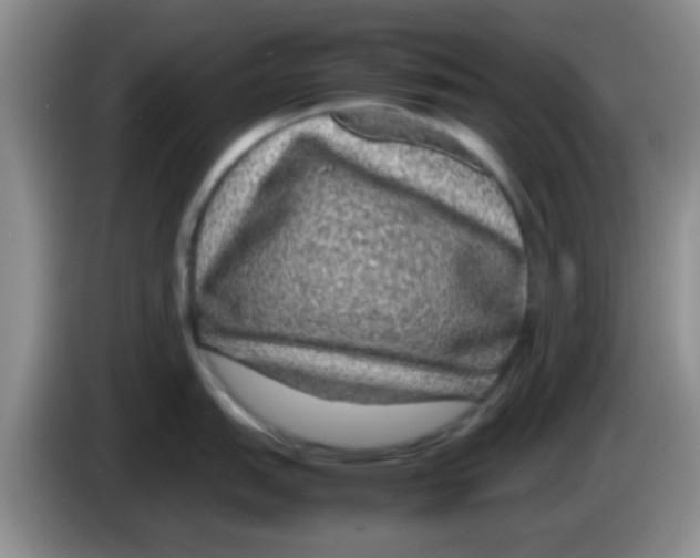 X0000083581151200703091653