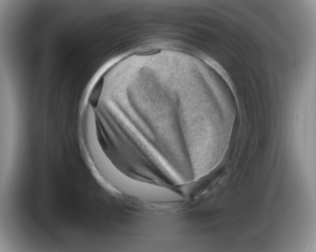 X0000083581152200703091653
