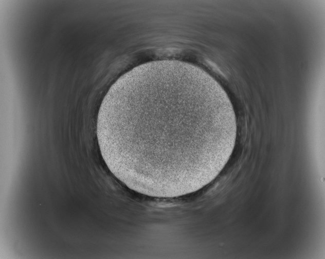 X0000083581153200703091652