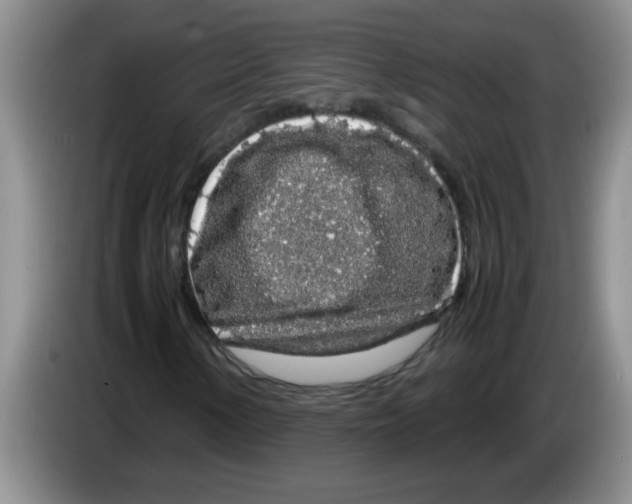 X0000083581154200703091652