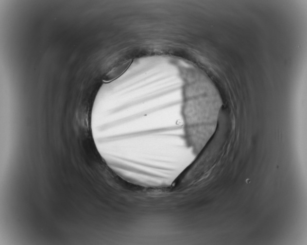 X0000083581155200703091652