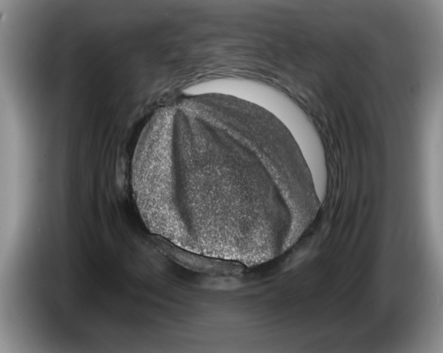 X0000083581156200703091652