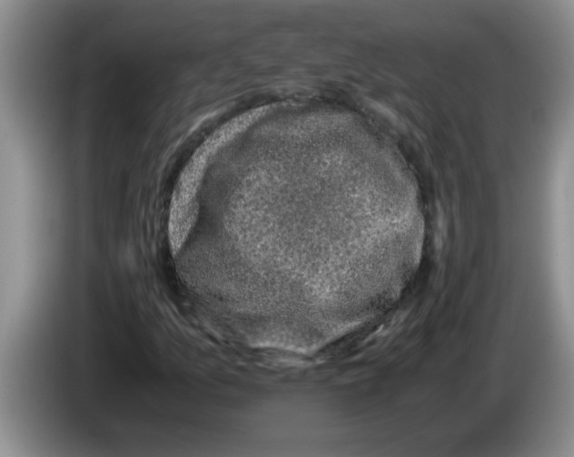 X0000083581157200703091652
