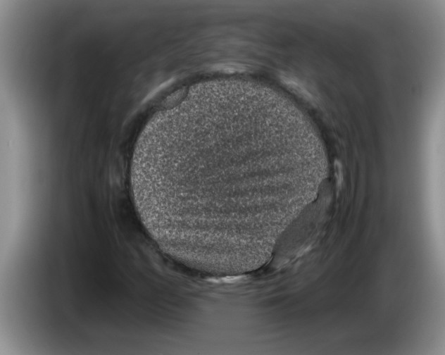 X0000083581158200703091652