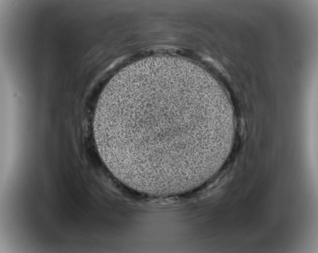 X0000083581159200703091652