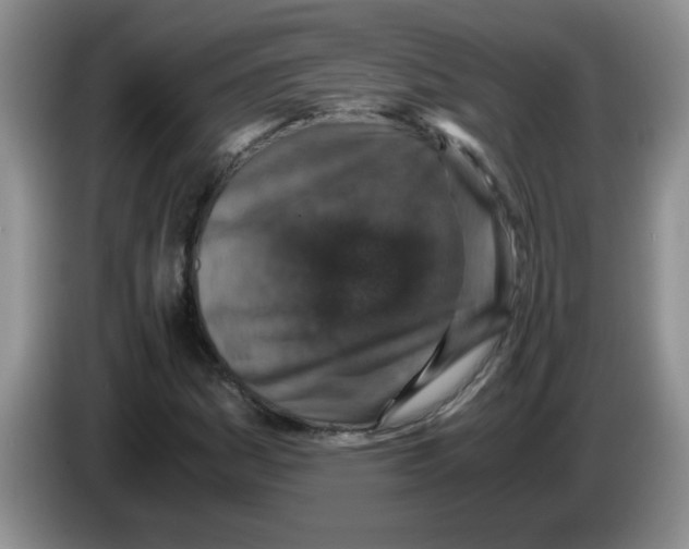 X0000083581161200703091652