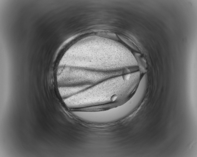 X0000083581164200703091652