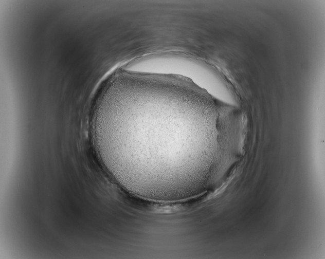X0000083581165200703091652