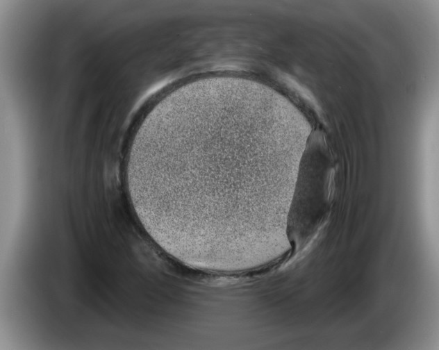 X0000083581166200703091652
