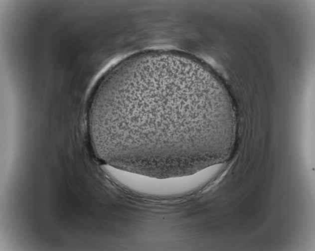 X0000083581167200703091652