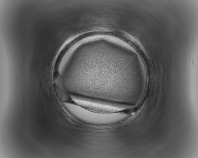 X0000083581168200703091652