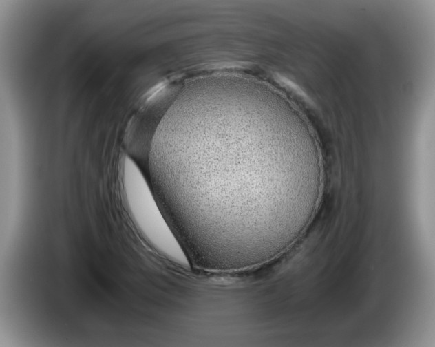 X0000083581169200703091652