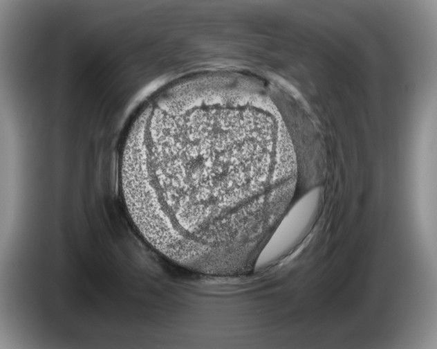 X0000083581171200703091652
