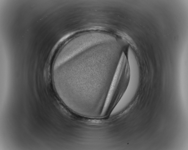 X0000083581172200703091652
