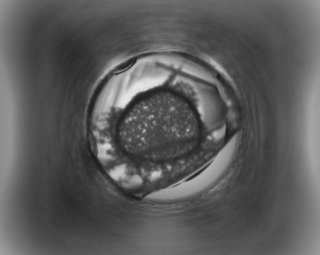 X0000083581173200703091652