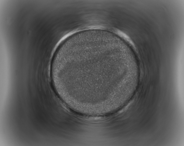 X0000083581174200703091652