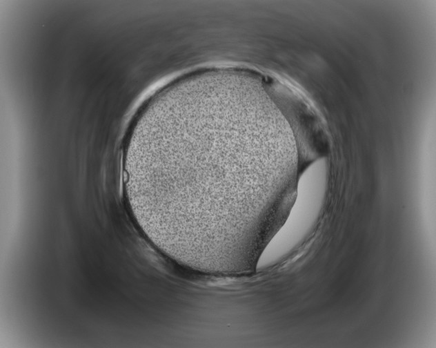 X0000083581175200703091652