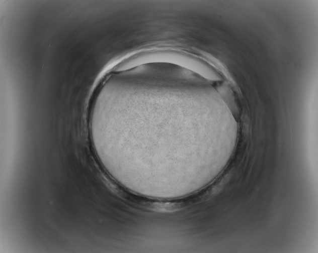 X0000083581176200703091652