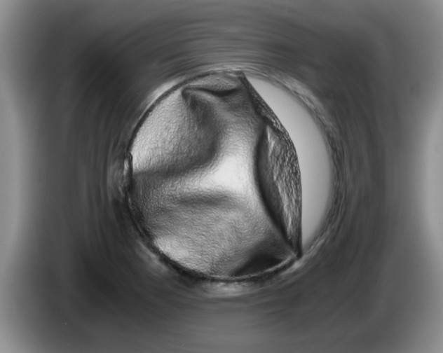 X0000083581177200703091652