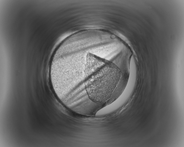 X0000083581179200703091652