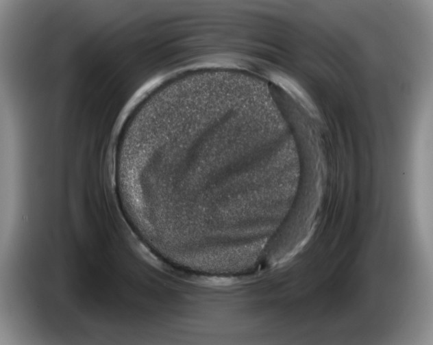 X0000083581180200703091652