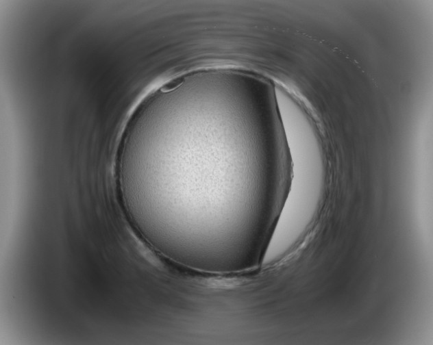 X0000083581181200703091652