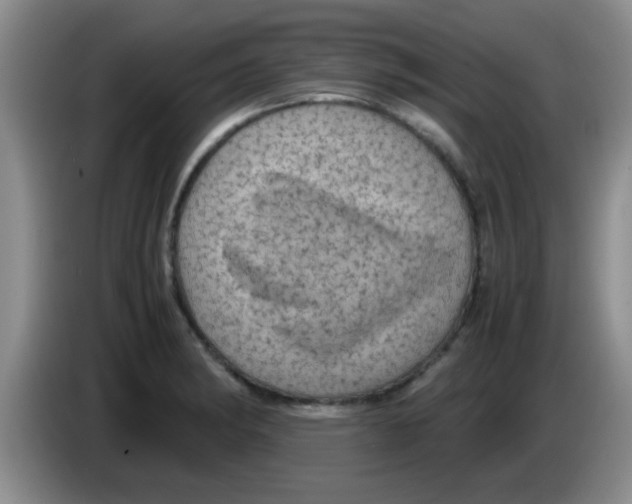 X0000083581182200703091652