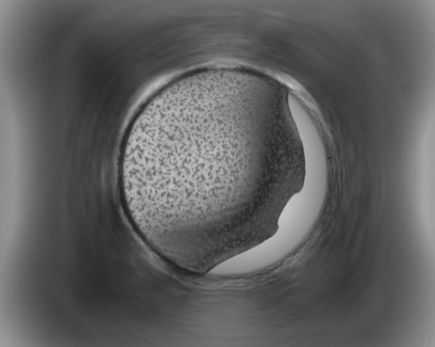 X0000083581183200703091652