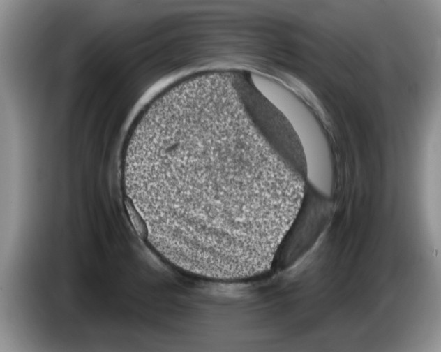 X0000083581184200703091652