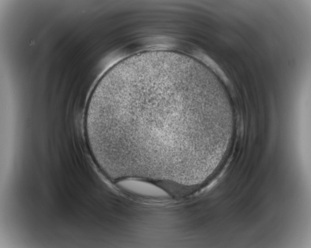X0000083581186200703091652
