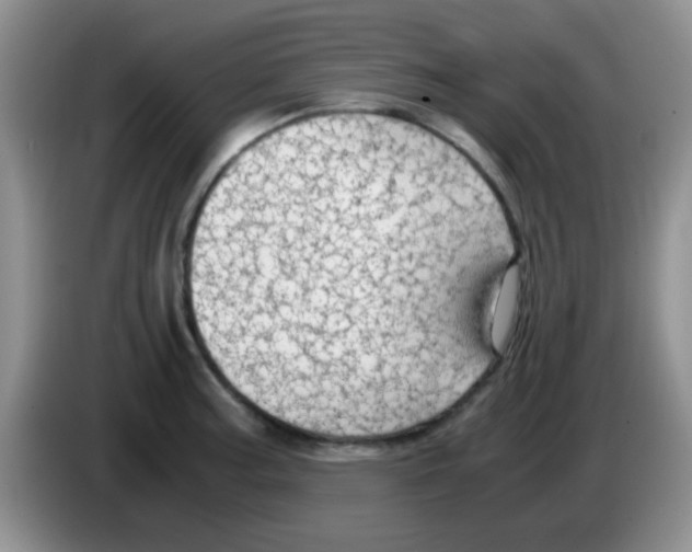 X0000083581187200703091652