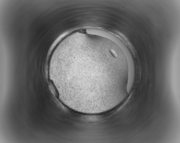 X0000083581188200703091652