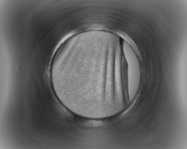 X0000083581190200703091652