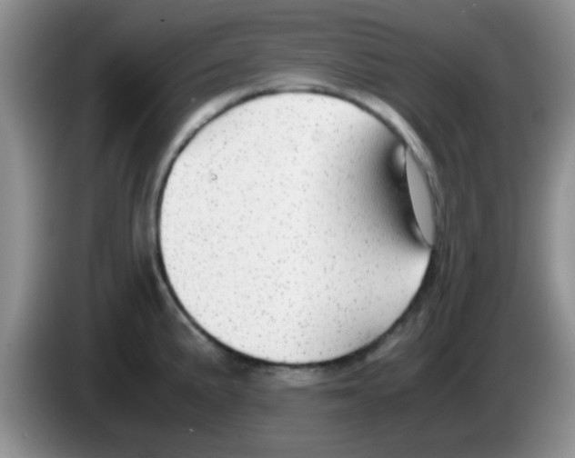 X0000083581191200703091652