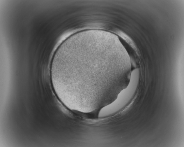 X0000083581192200703091652