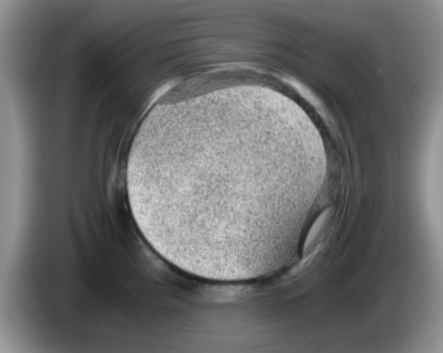 X0000083581193200703091652