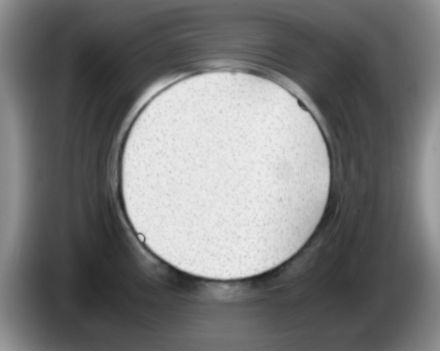 X0000083581195200703091652