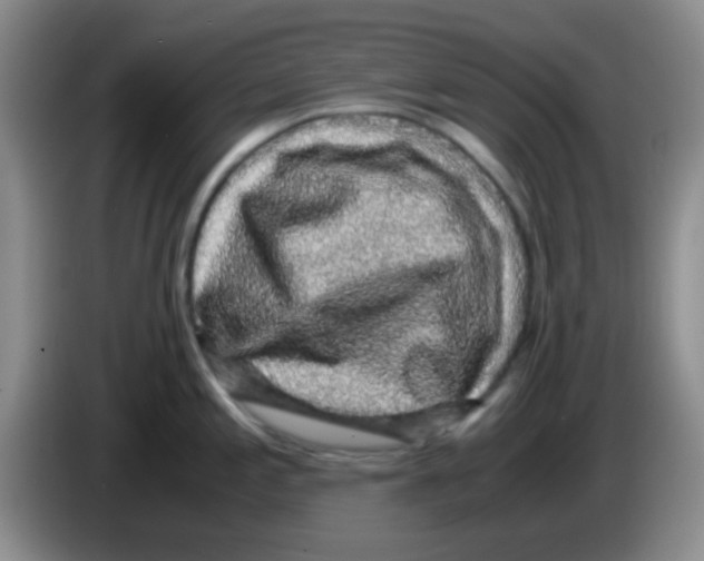 X0000083581197200703091652