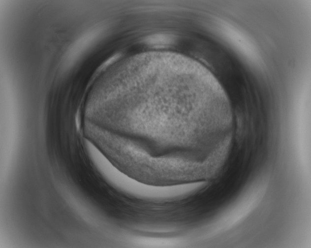X0000083581198200703091652
