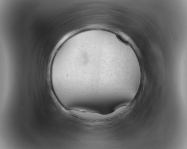 X0000083581199200703091652