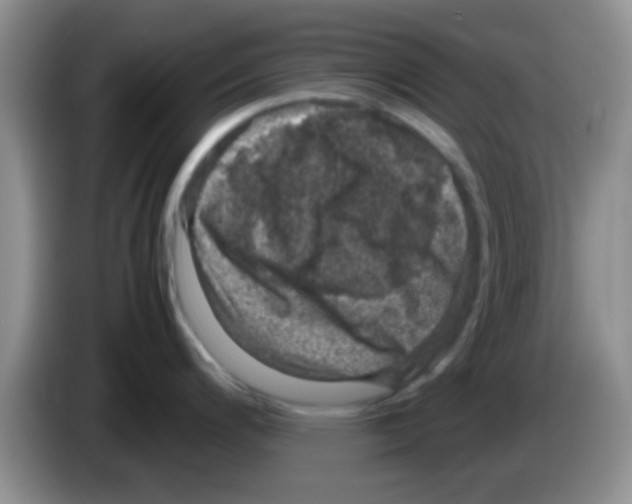 X0000083581200200703091652