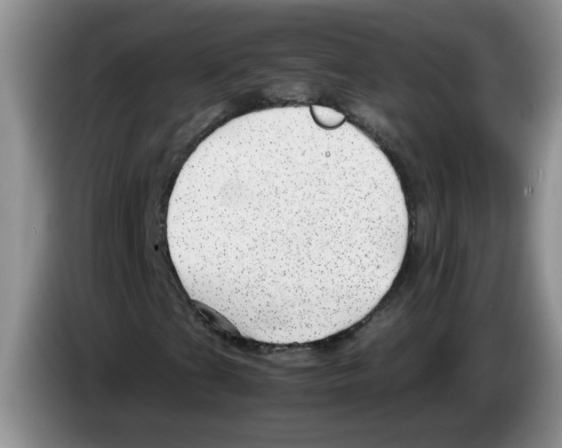 X0000083581201200703091651