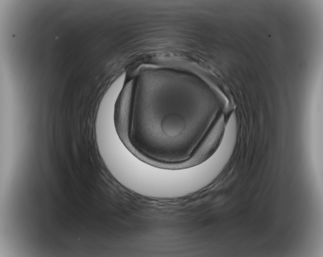 X0000083581202200703091651
